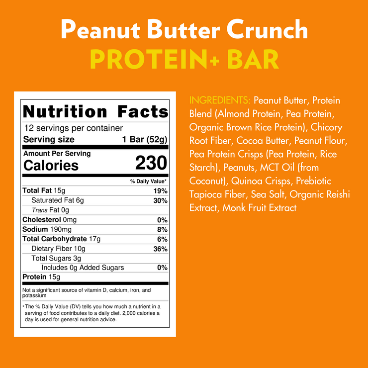 High Protein Bar Bundle (36 BARS)